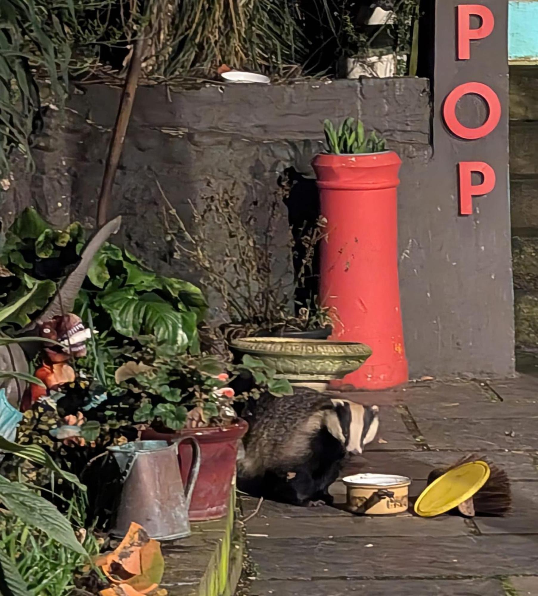 Pop Art Pad Heart Of Old Town With Parking! Lejlighed Hastings Eksteriør billede